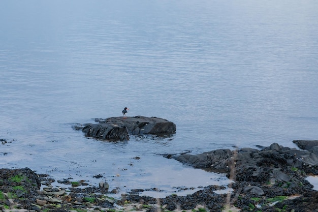 Północna Irlandia Wygląd wybrzeża Oceanu Atlantyckiego Zdjęcia zasobów