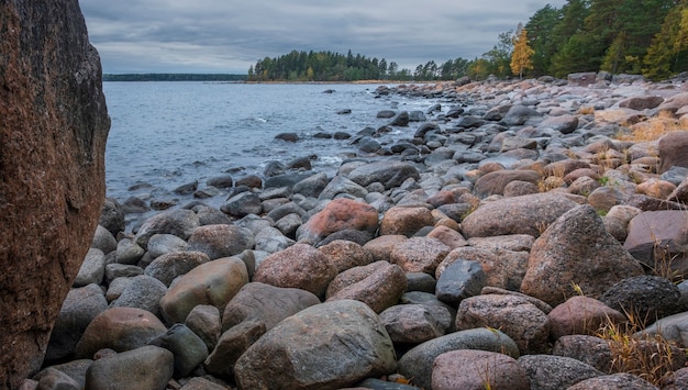 Północny krajobraz jesienią, rezerwat przyrody Kivipark w powiecie Wyborg w regionie Leningradu. Zatoka Fińska Morza Bałtyckiego z ogromnymi głazami na plaży w pobliżu lasu.