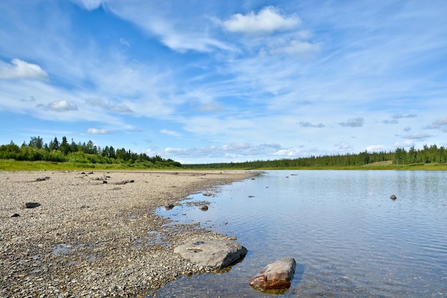 Północny krajobraz rzeki