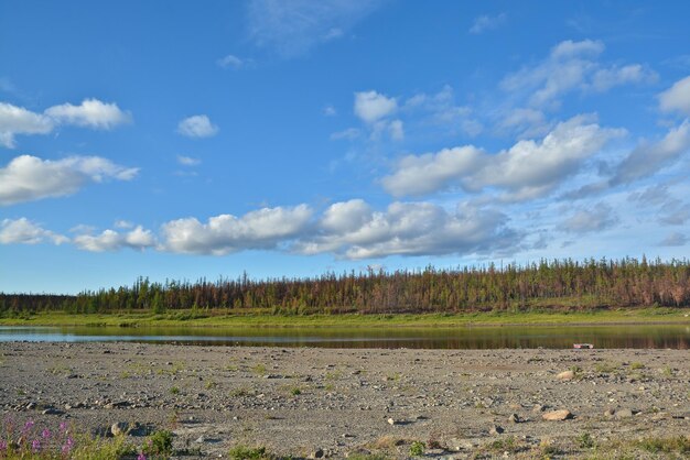 Północny krajobraz rzeki