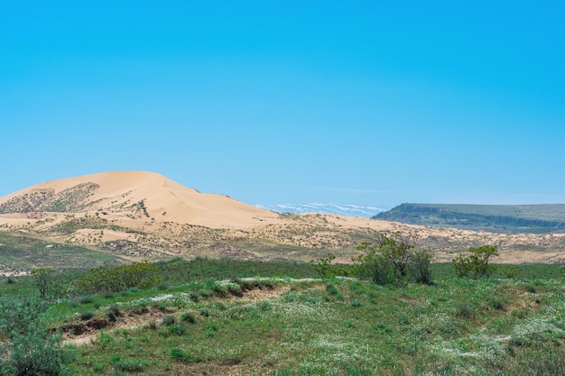 Półpustynny krajobraz w sąsiedztwie wydmy Sarykum