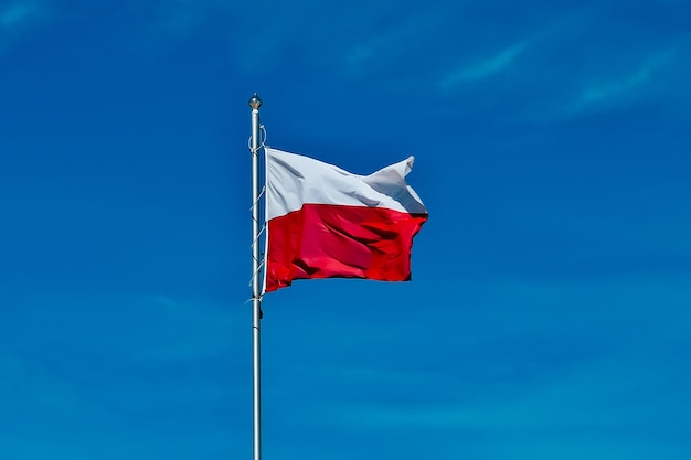 Polska flaga polska flaga narodowa na błękitnym niebie