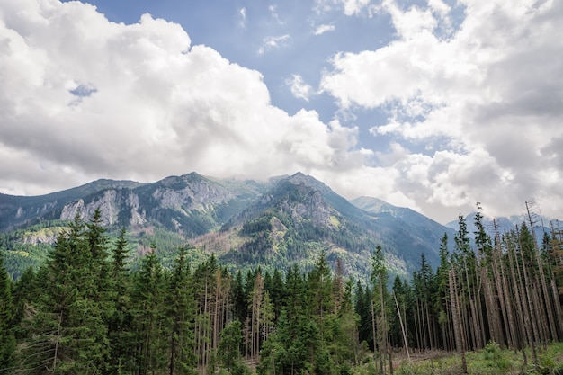 Polska Tatry białe chmury