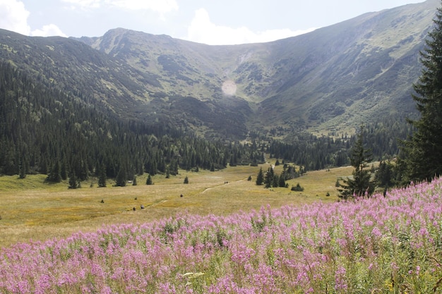 Polska Tatry