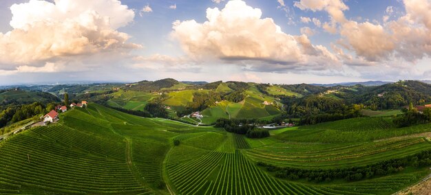 Południowe winnice styria panoramiczny krajobraz powietrzny w pobliżu Gamlitz Austria Eckberg Europa Wzgórza winorośli widok z drogi winowej wiosną Miejsce turystyczne