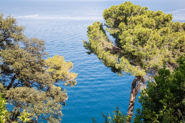 Półwysep Portofino San Rocco do Batteria di Punta Chiappa Górny Park Naturalny Regionalny we Włoszech