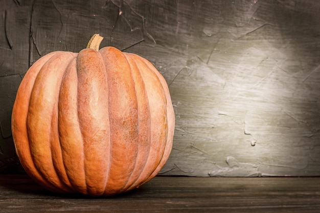 Pomarańczowa dynia na ciemnym tle Harvest Halloween