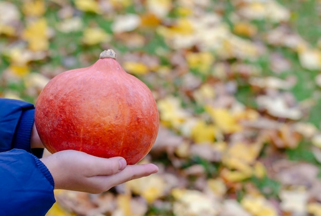 Pomarańczowa dynia w rękach dzieci na tle jesiennych liści