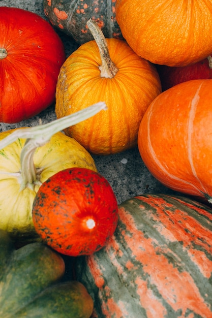 Pomarańczowe Dynie. Koncepcja Zbiorów I Jesieni