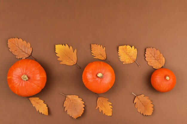 Pomarańczowe dynie leżą w rzędzie z jesiennymi liśćmi na brązowym tle w rozmiarze Koncepcja zbiorów Halloween Widok z góry Miejsce na napis