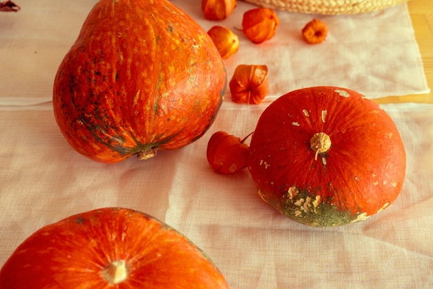 Pomarańczowe dynie na stole przykrytym lnianym obrusem