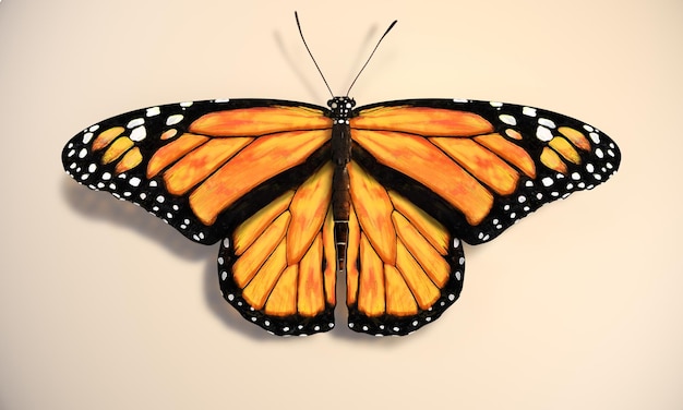 Pomarańczowy Motyl. Realistyczna Ilustracja Motyla Monarchy, Danaus Plexippus, Z Czarnym, Yel