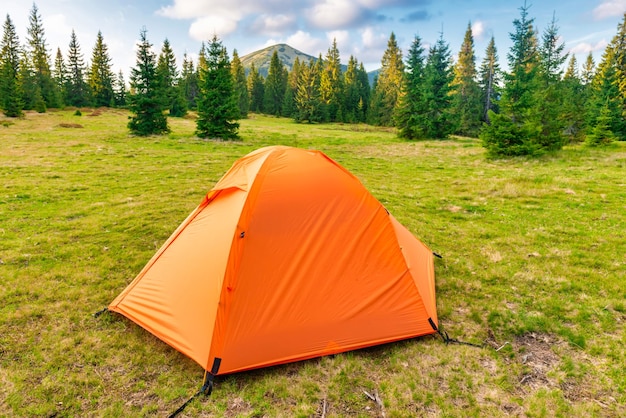 Pomarańczowy obóz namiotowy w zielonym lesie