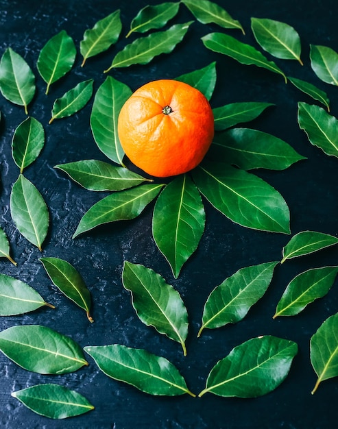 Pomarańczowy z zielonymi liśćmi na czarnym tle Zdjęcie zdrowego stylu życia Piękna tapeta Koncepcja wegetariańska i wegańska Witaminy z natury