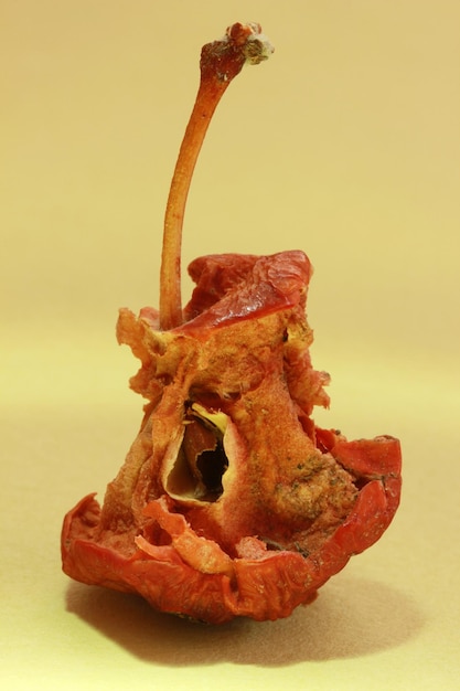 Pomarszczone i zgniłe jabłko na kolorowym tle