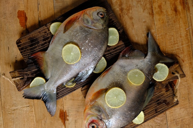 Pomfrets to ryby okoniokształtne należące do rodziny Bramidae. Ikan bawal. Świeży pomfret i cytryna.