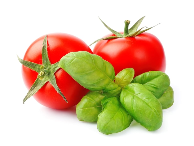 Pomidory i bazylia