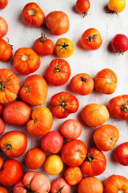 Pomidory na białym tle Świeżych warzyw Krople wody na czerwonych pomidorach Ekologiczne