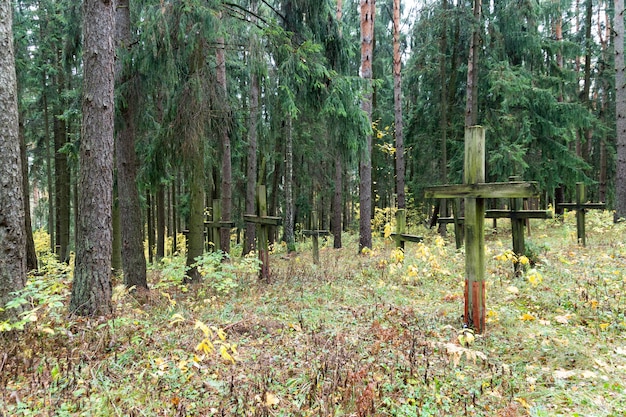 Pomnik Ofiar Stalinowskich Represji W Kurapatach. Mińsk, Białoruś