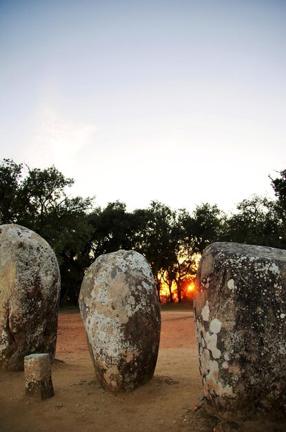 Zdjęcie pomniki na polu w alentejo