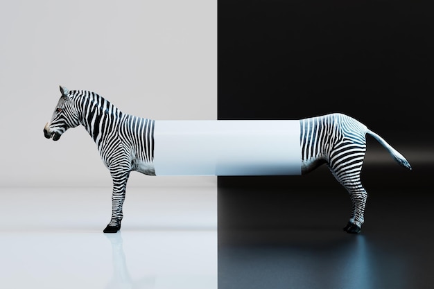 pomysły na reklamę.zebra na czarno-białym tle z miejscem na umieszczenie reklamy