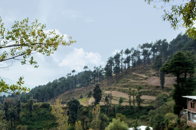 Popularna indyjska stacja na wzgórzu - Patnitop, jammu