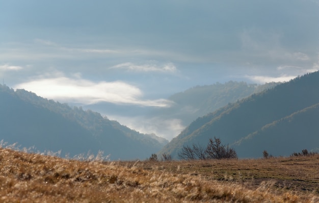 Zdjęcie poranek mglisty jesienny krajobraz górski (karpaty, ukraina)