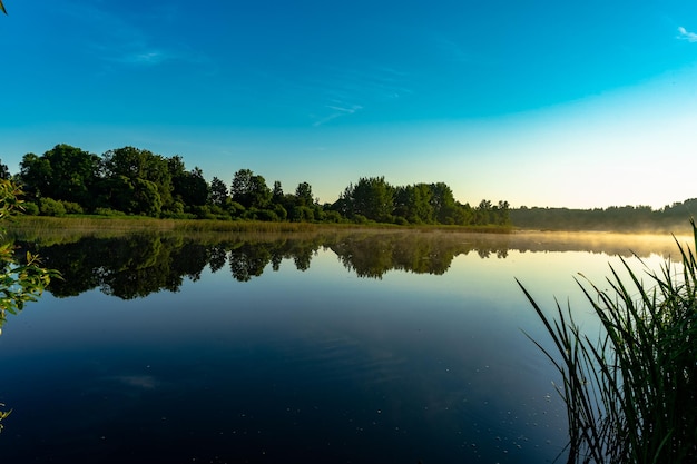 Poranek nad rzeką w dzikich promieniach słońca i mgle nad rzeką