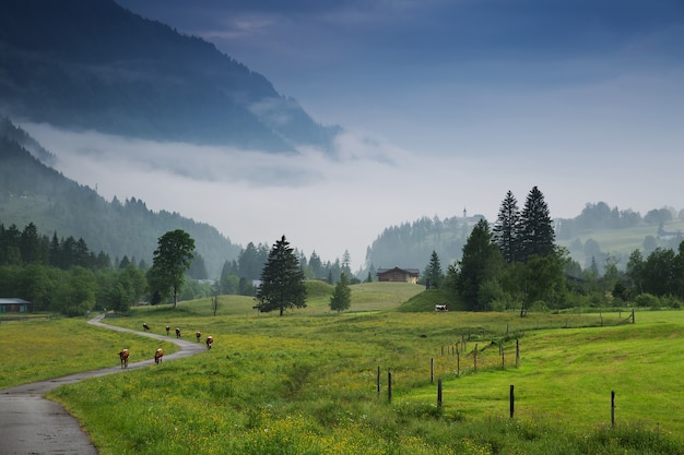 Poranek w Alpach Austria Niesamowity widok na dolinę alpejskiej wioski i góry Krajobraz przyrody