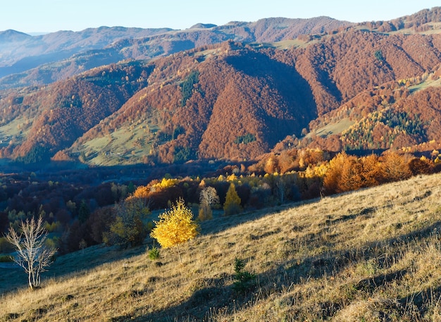 Poranna mgła jesienią Karpat. Krajobraz górski z kolorowymi drzewami na stoku.