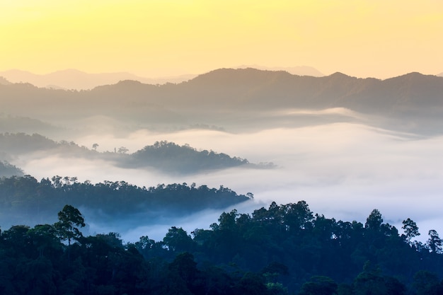poranna mgła w gęstym tropikalnym lesie deszczowym, kaeng krachan, Tajlandia
