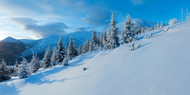 Zdjęcie poranna zimowa panorama górska z jodły na stoku (karpaty, ukraina).