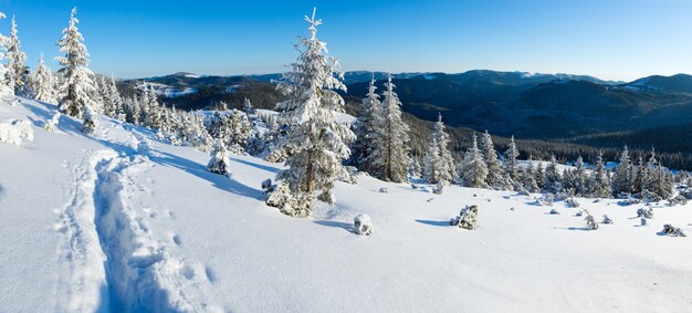 Poranna zimowa panorama górska z jodły na stoku.