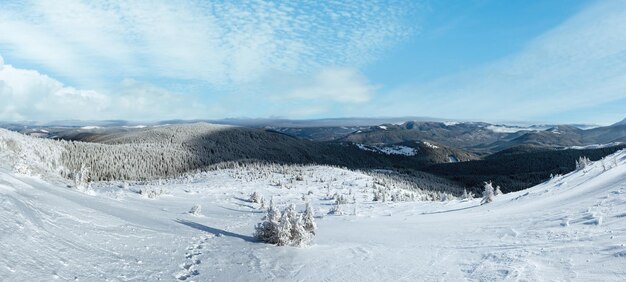 Poranny słoneczny zimowy panorama górski Karpaty Ukraina