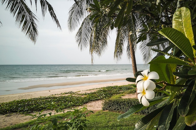 Zdjęcie poranny widok na morze na plaży thap sakae prachuap khiri khan tajlandia