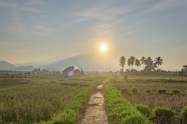 Poranny widok w małej wiosce z górą o wschodzie słońca latem w północnym bengkulu, indonezja
