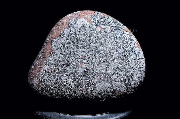 Porosty Na Tle Makro Tekstury Kamienia, Natura Abstrakcyjna