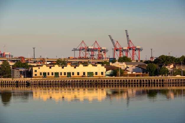 Port handlowy Madero z żurawiami Argentyna