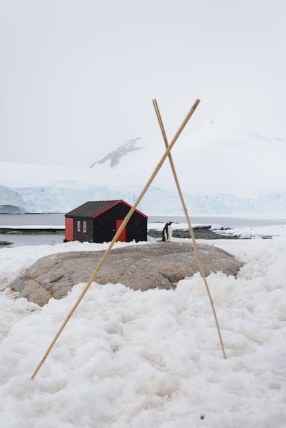 Port Lockroy Antarktyczna Stacja