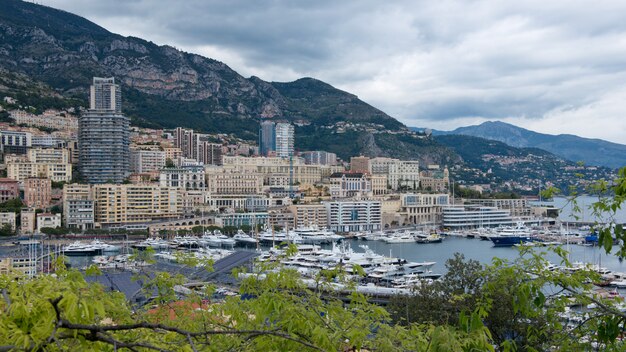 Zdjęcie port montecarlo