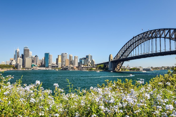 Zdjęcie port sydney przy okrągłym nabrzeżu z mostem portu widocznym z obserwacji dr mary booth kirribilli