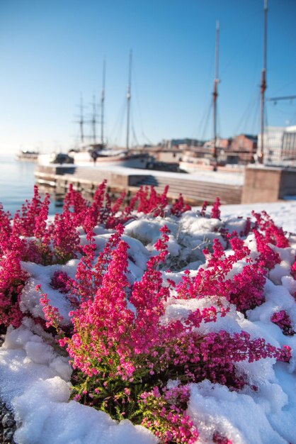 Port w mieście Oslo