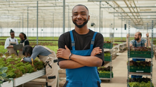 Portret afroamerykańskiego rolnika pozuje z rękami skrzyżowanymi w nowoczesnej szklarni z warzywami z upraw ekologicznych. Uśmiechnięty pracownik w ogólnej pozycji na farmie sałaty, podczas gdy zbieracze zbierają plony.