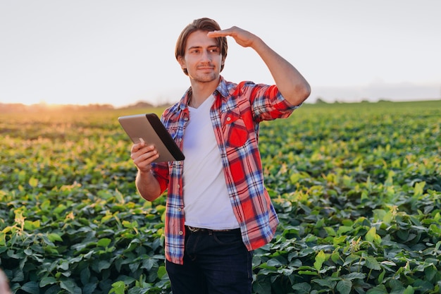 Portret Agronom Stojący W Polu Z Ipad I Patrząc