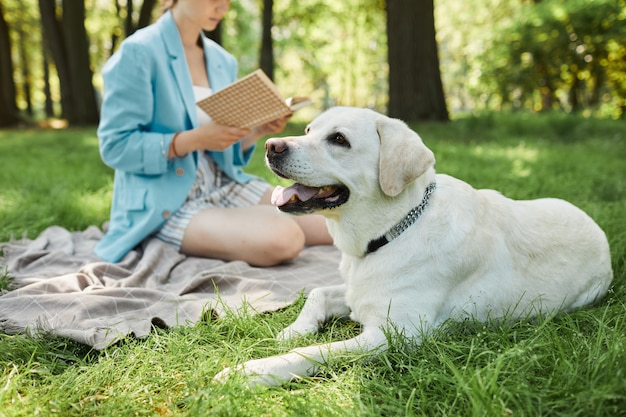 Portret białego psa labrador na trawie na zewnątrz z młodą kobietą czytającą książkę w tle, kopia przestrzeń