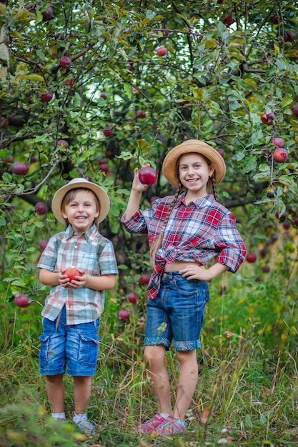 Portret brata i siostry w ogrodzie z czerwonymi jabłkami Chłopiec i dziewczynka są na jesieni