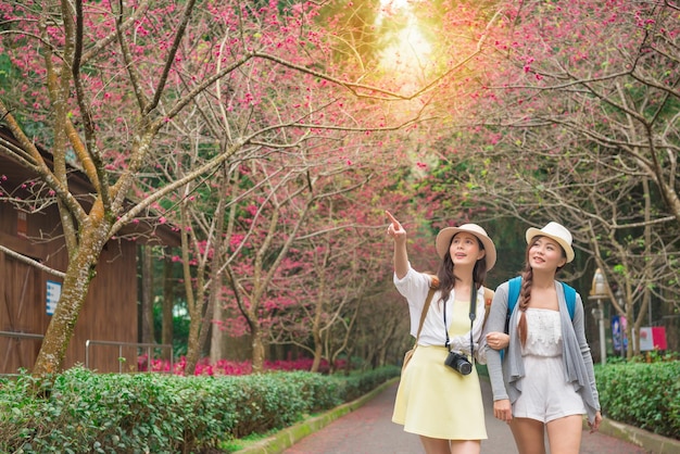 portret dwóch młodych koleżanek spaceru na ścieżce kwitnących sakura patrząc i wskazując copyspace piękny widok udział dla siostry razem spacerując wzdłuż drzew kwiat wiśni.