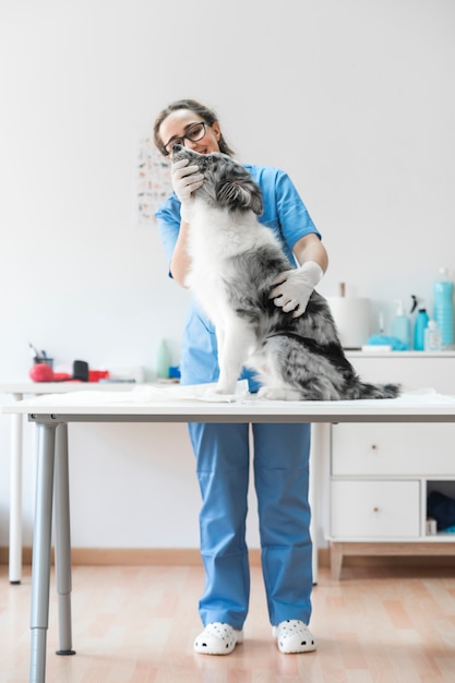 Zdjęcie portret egzamininuje psiego obsiadanie na stole w klinice żeński weterynarz