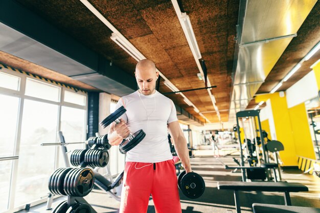 Portret łysy Kulturysta Jest Ubranym Słuchawki I Patrzeje W Dół W Sportswear, Podnoszący Dumbbells Podczas Gdy Stojący W Gym.