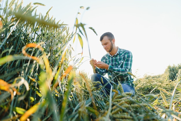 Portret młodego przystojnego biologa lub agronoma.